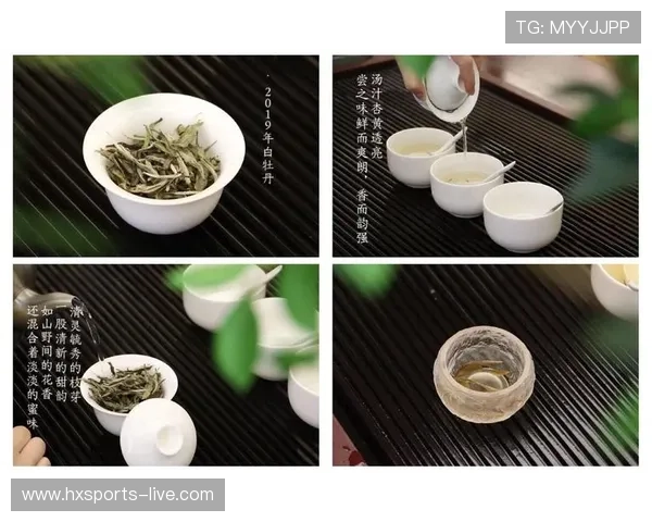 足球球星与山楂树之恋的缱绻情缘：绿茵场上的爱情与梦想交织